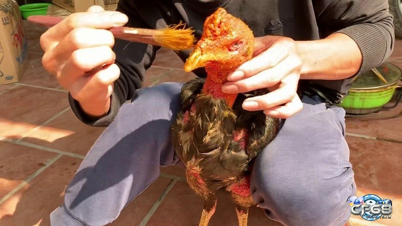 Thực hiện các bước om bóp theo hướng dẫn cụ thể