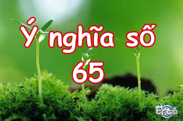 Ý nghĩa của con số 65 theo quan niệm dân gian và đề về 65 mai đánh lô gì