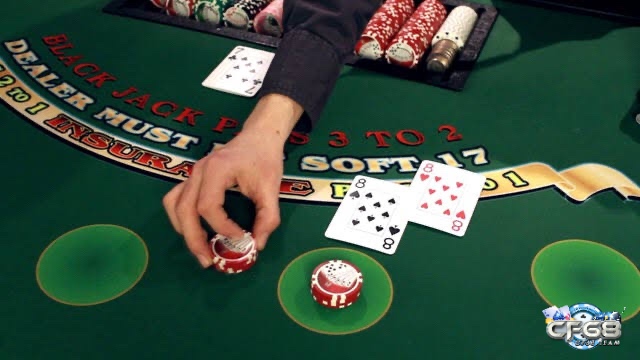 Trình tự ở 1 lượt đấu của game sẽ được diễn ra trong 4 đợt
